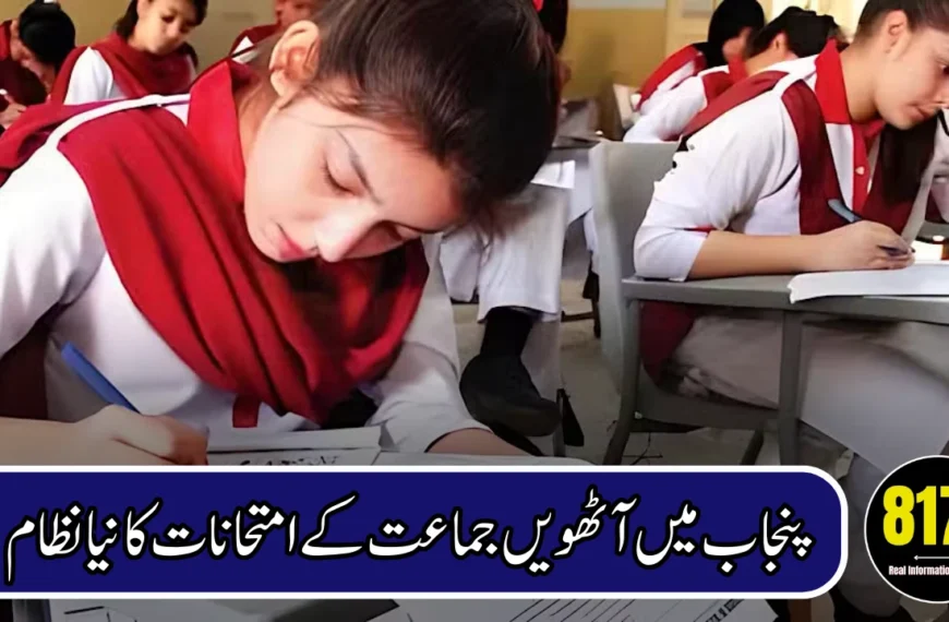 Punjab Introduces E-Sheets for Class 8 Board Exams 2026