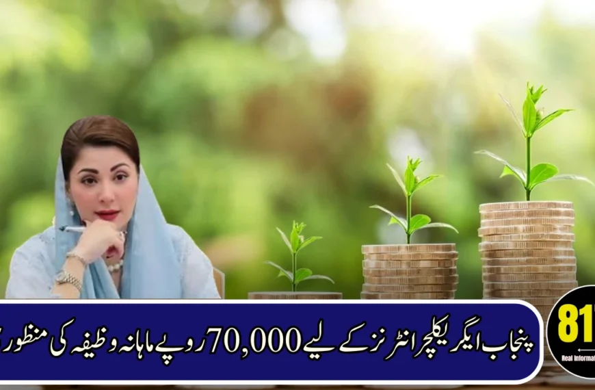 CM Punjab Unveils Major Agriculture Reforms and Internships