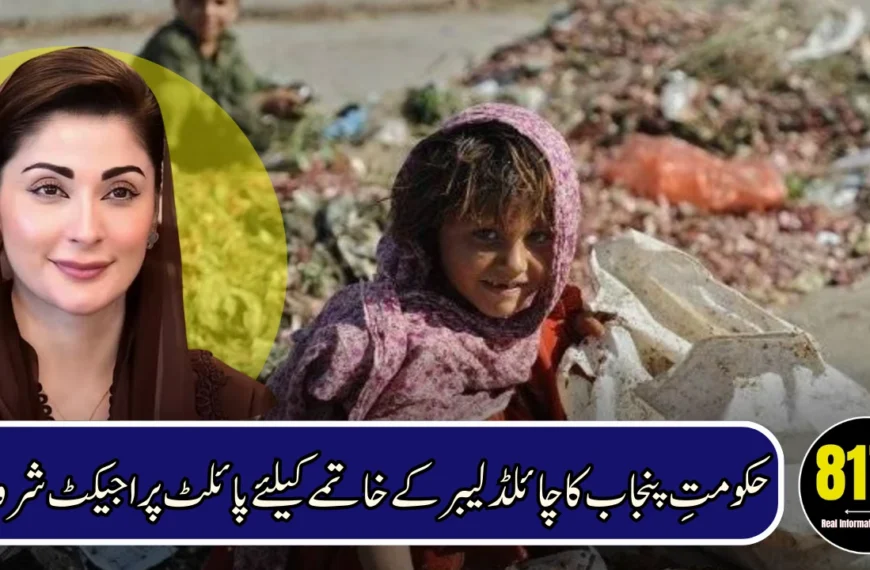 CM Punjab Launches Pilot Cash Transfer Program to Eliminate Child Labour