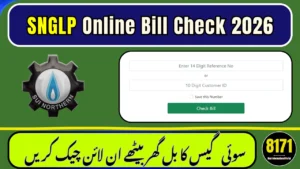 SNGPL Online Bill